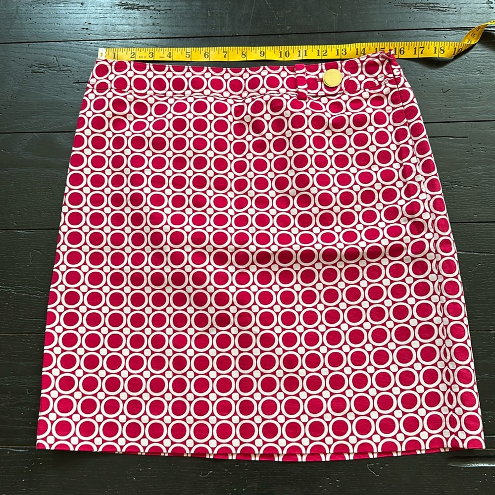 Ann Taylor Skirt 10P